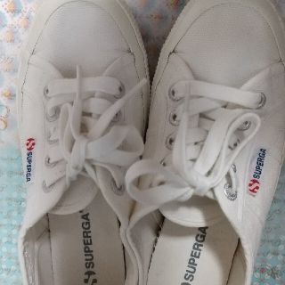 スペルガ(SUPERGA)のSUPERGAスニーカー  白  22.5cm(スニーカー)