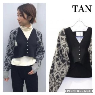 TAN 定価46000円希少DAMASK MOTIF CD naby