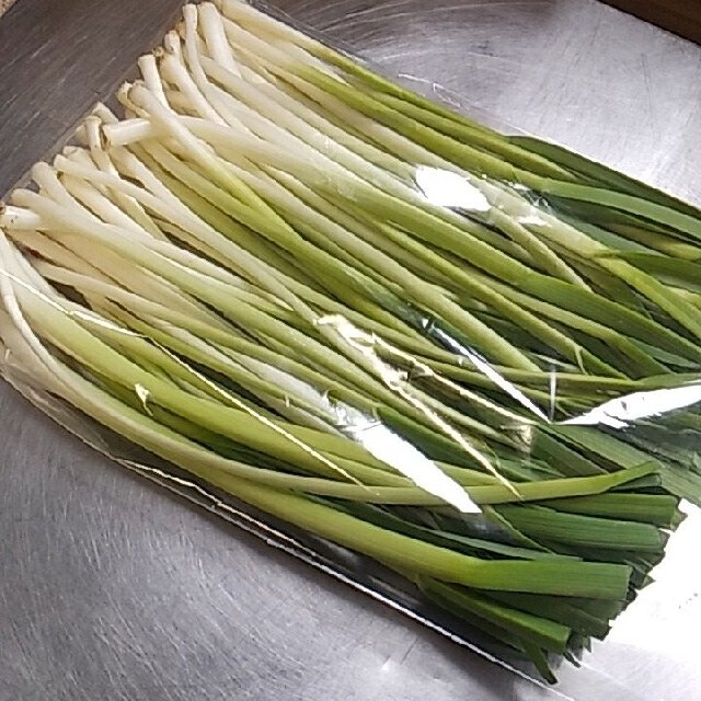 青森県産　無農薬にんにく新芽　葉にんにく 食品/飲料/酒の食品(野菜)の商品写真