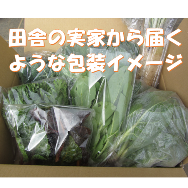 楽ちゃん様専用　春野菜の詰め合わせ　７０サイズ 食品/飲料/酒の食品(野菜)の商品写真