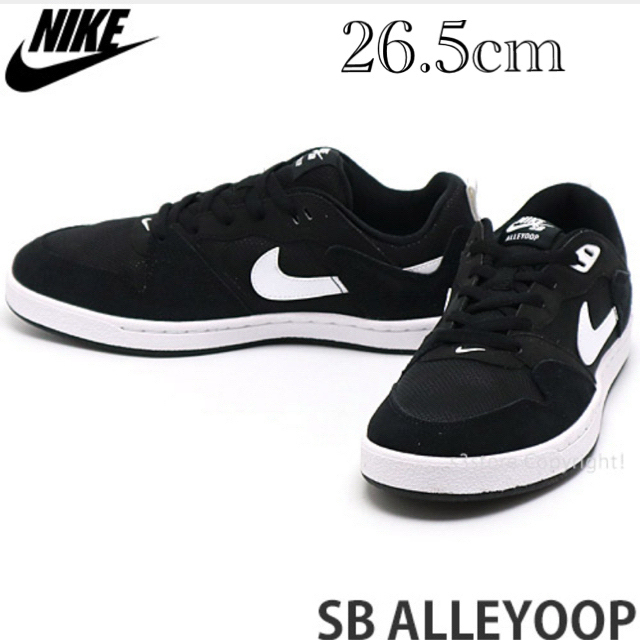 新品未使用◆26cm NIKE SB アリウープ エスビー/ALLEYOOP