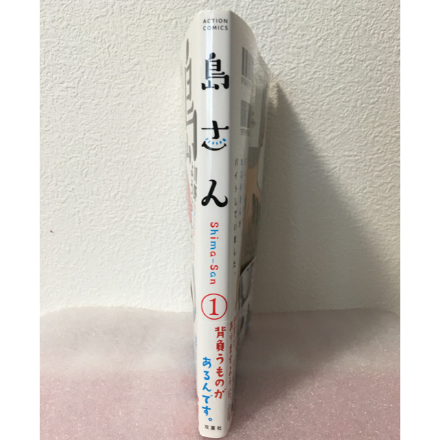 【ヒコミコ様専用】これは経費で落ちません! 8  & 島さん 1巻 エンタメ/ホビーの本(文学/小説)の商品写真