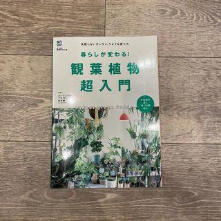 暮らしが変わる！観葉植物超入門 失敗しないカンタン、キレイな育て方(趣味/スポーツ/実用)