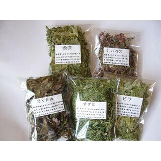 お試し野草茶 　定番の５種類セット　ビワ・桑・どくだみ・すぎな・ゲンノショウコ(茶)