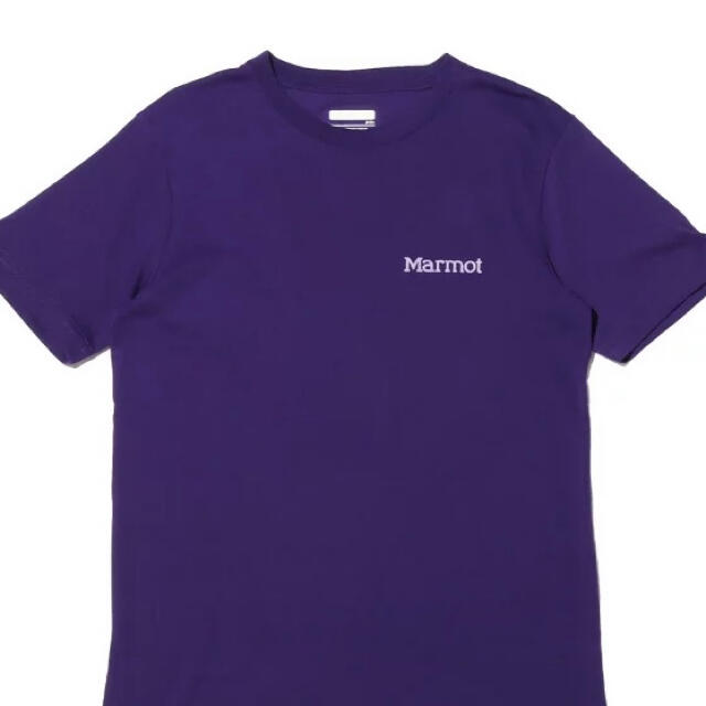 MARMOT(マーモット)のマーモット　バックプリントtシャツ 正規品　Ｌサイズ 新品未使用タグ付　最終値下 メンズのトップス(Tシャツ/カットソー(半袖/袖なし))の商品写真