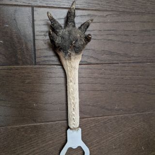カンガルーワラビの栓抜きオーストラリアお土産
