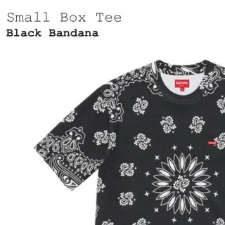 シュプリーム(Supreme)の★サイズL★Supreme Small Box Tee(Tシャツ/カットソー(半袖/袖なし))