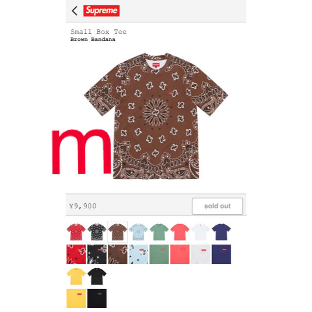 supreme Small Box Tee Brown Bandana L