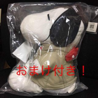 スヌーピー(SNOOPY)の★緑様専用(ぬいぐるみ)