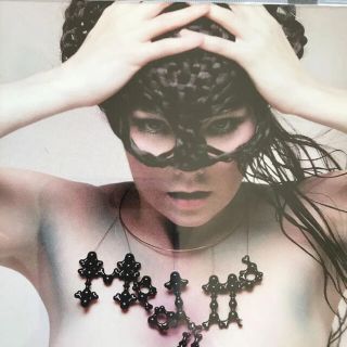 Bjork Medúlla メダラ SACD(ポップス/ロック(洋楽))