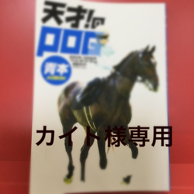 天才！のＰＯＧ青本 ペーパーオーナーゲーム完全ガイド ２０２１年～２０２２年 エンタメ/ホビーの本(趣味/スポーツ/実用)の商品写真