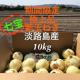 みーmiさま専用★期間限定出荷★ 秀品　淡路島産　新玉ねぎ　10kg  七宝(野菜)