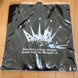 専門ショップ StrayKids スキズ うちわケース アイドル - education