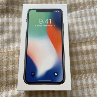 アップル(Apple)のiPhone Xの空箱(その他)