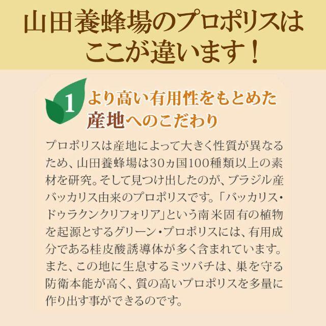 山田養蜂場 プロポリス300 袋入 100球入 5