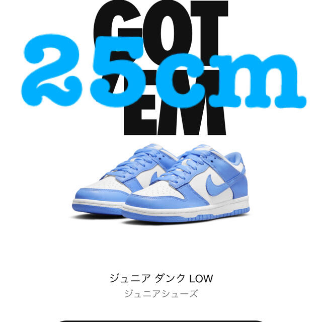 NIKE(ナイキ)のNIKE DUNK LOW UNIVERSITY BLUE　ジュニア　25cm メンズの靴/シューズ(スニーカー)の商品写真