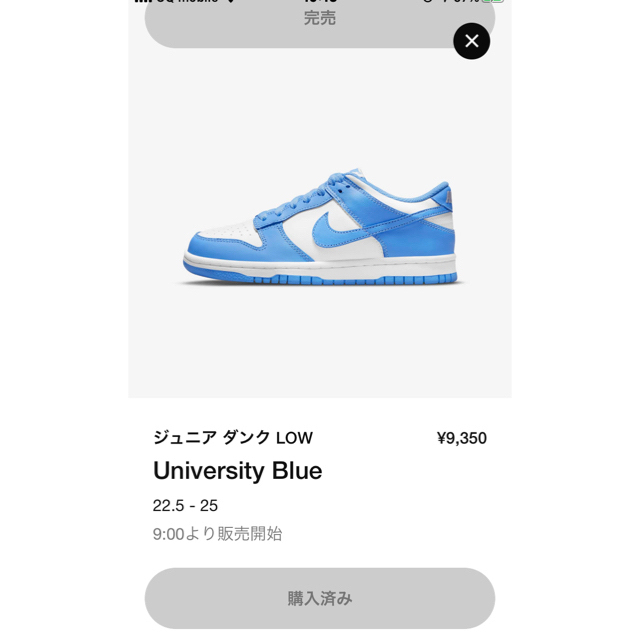 NIKE(ナイキ)のNIKE DUNK LOW UNIVERSITY BLUE　ジュニア　25cm メンズの靴/シューズ(スニーカー)の商品写真