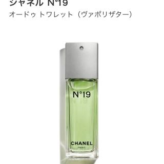 シャネル(CHANEL)のシャネル N゜19 オードゥ トワレット(ヴァポリザター) 100ml(香水(女性用))