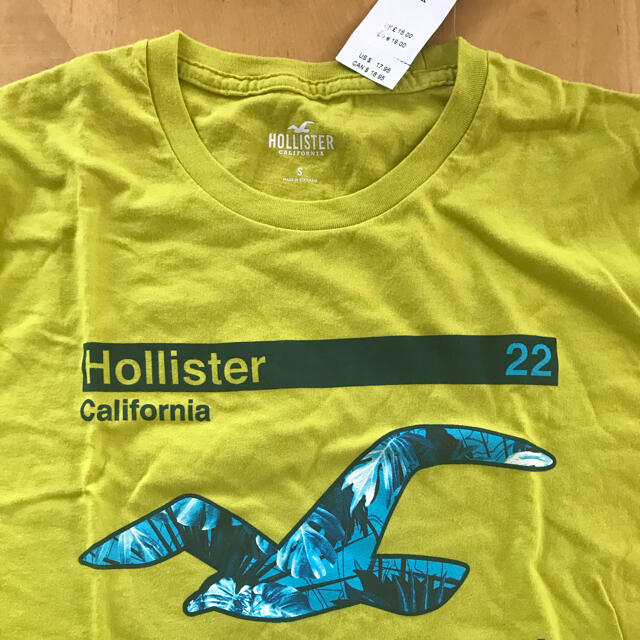 Hollister(ホリスター)のホリスター＊新品タグ付き＊Tシャツ＊サイズS メンズのトップス(Tシャツ/カットソー(半袖/袖なし))の商品写真