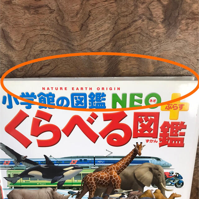 小学館(ショウガクカン)のぴぃ様専用　小学館の図鑑NEOプラスくらべる図鑑　 エンタメ/ホビーの本(絵本/児童書)の商品写真