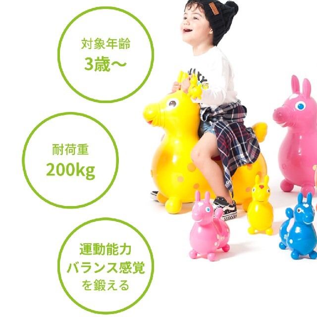 Rody(ロディ)のみーな様専用☆ロディ　パープル　バランスボール エンタメ/ホビーのおもちゃ/ぬいぐるみ(その他)の商品写真