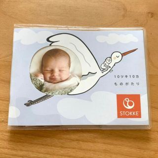 ストッケ(Stokke)の処分します　トリップトラップ　ストッケ　エコーアルバム　ノベルティ(アルバム)