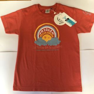 エーグル(AIGLE)の新品　AIGLE  Tシャツ(ウェア)