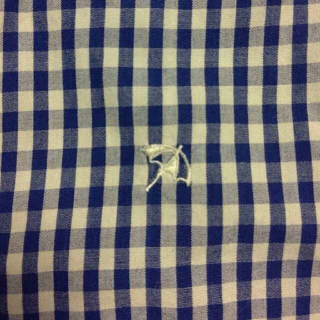 Arnold Palmer(アーノルドパーマー)のアーノルドパーマー ギンガムチェックシャツ レディースのトップス(シャツ/ブラウス(長袖/七分))の商品写真