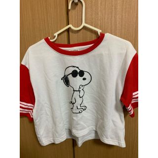 ウィゴー(WEGO)のショート丈　Tシャツ(シャツ/ブラウス(半袖/袖なし))