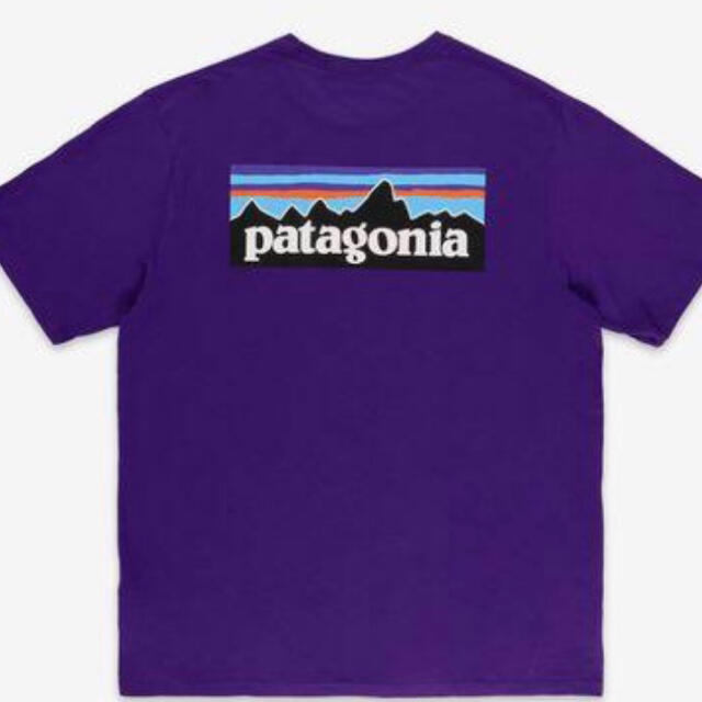 patagonia(パタゴニア)の新品タグ付　海外限定　パタゴニア オーガニックコットンTシャツ P-6 メンズのトップス(Tシャツ/カットソー(半袖/袖なし))の商品写真