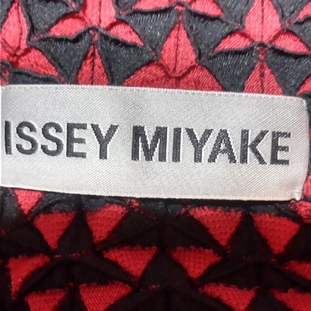 ISSEY MIYAKE(イッセイミヤケ)のイッセイミヤケスカート レディースのスカート(ひざ丈スカート)の商品写真