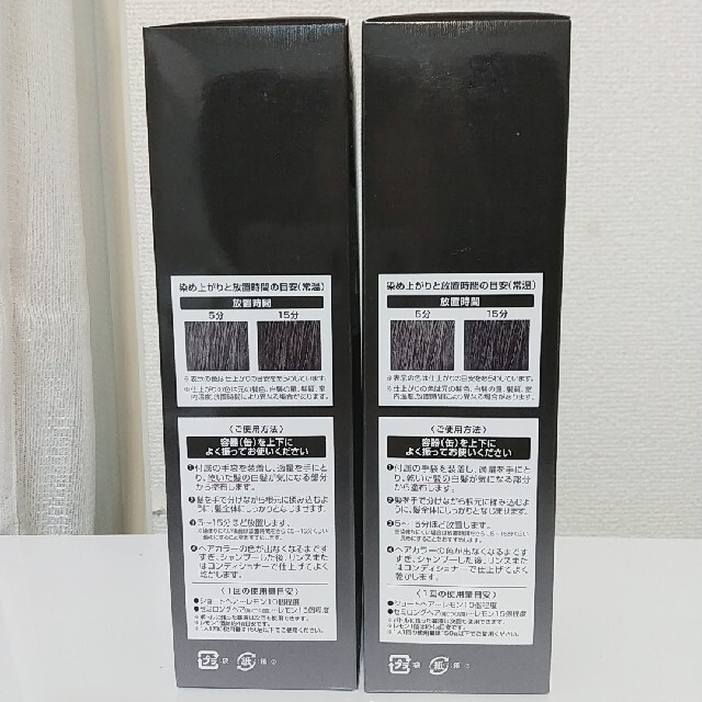 ヘアボーテ エクラ ボタニカル エアカラーフォーム  ブラック 150g×2 コスメ/美容のヘアケア/スタイリング(白髪染め)の商品写真