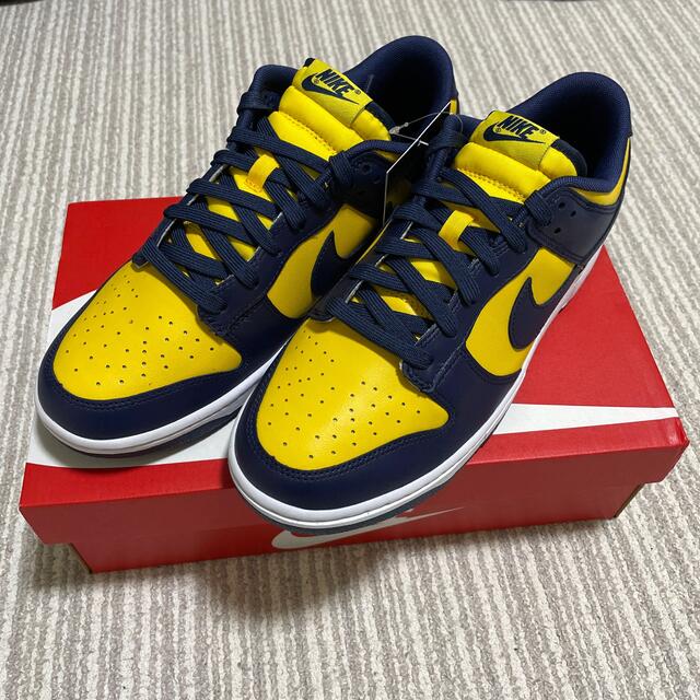 NIKE DUNK LOW RETRO　DD1391-700 27.0CM