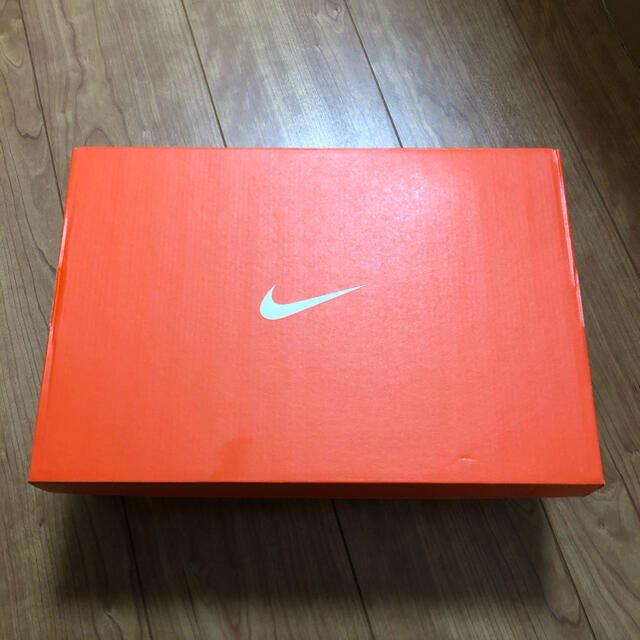 NIKE(ナイキ)の29cm【新品】NIKE ナイキ メンズスライド アスナ ペイズリー サンダル メンズの靴/シューズ(サンダル)の商品写真