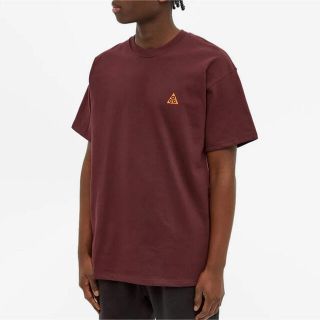 ナイキ(NIKE)の完売新品未使用タグあり日本未入荷nikeナイキacgTシャツ(Tシャツ/カットソー(半袖/袖なし))