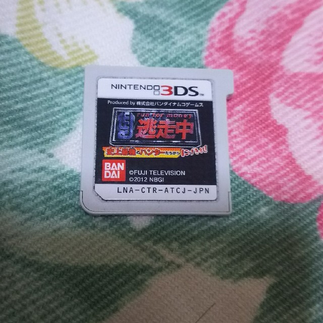 ニンテンドー3DS(ニンテンドー3DS)の逃走中 3DS エンタメ/ホビーのゲームソフト/ゲーム機本体(携帯用ゲームソフト)の商品写真