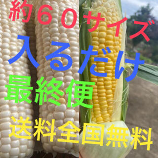Miumama0608様専用品(野菜)