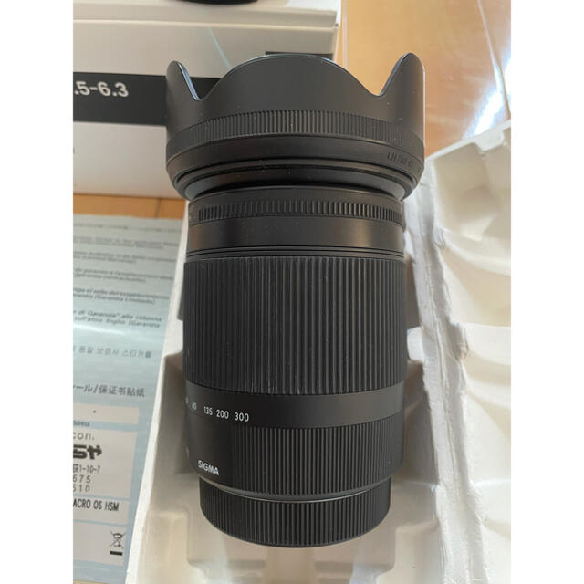 SIGMA 18-300 F3.5-6.3 DC MACRO for canon