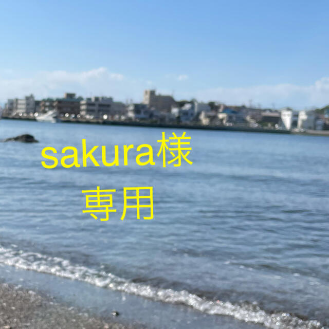 任天堂(ニンテンドウ)の専用 エンタメ/ホビーのおもちゃ/ぬいぐるみ(キャラクターグッズ)の商品写真
