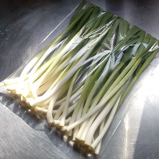 青森県産　無農薬にんにく新芽　葉にんにく(野菜)