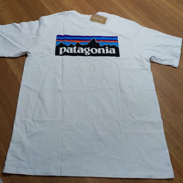 patagonia(パタゴニア)のpatagonia　パタゴニア　レスポンシビリティー　Tシャツ メンズのトップス(Tシャツ/カットソー(半袖/袖なし))の商品写真