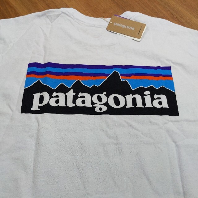 patagonia(パタゴニア)のpatagonia　パタゴニア　レスポンシビリティー　Tシャツ メンズのトップス(Tシャツ/カットソー(半袖/袖なし))の商品写真