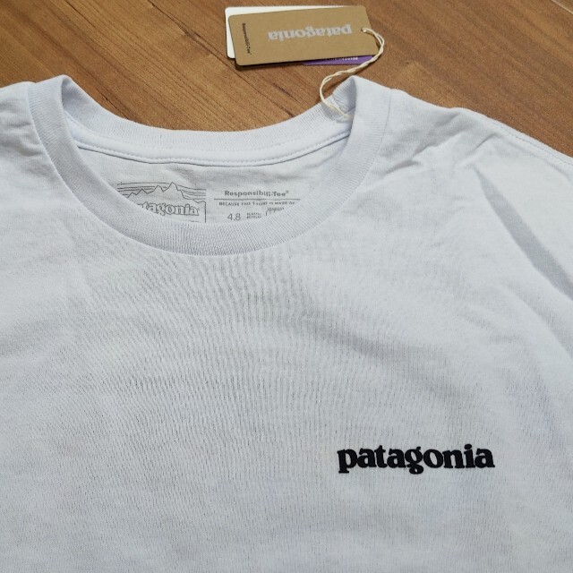 patagonia(パタゴニア)のpatagonia　パタゴニア　レスポンシビリティー　Tシャツ メンズのトップス(Tシャツ/カットソー(半袖/袖なし))の商品写真