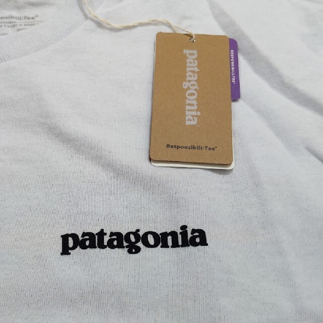 patagonia(パタゴニア)のpatagonia　パタゴニア　レスポンシビリティー　Tシャツ メンズのトップス(Tシャツ/カットソー(半袖/袖なし))の商品写真