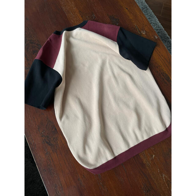 Drawer(ドゥロワー)のシクラス　CYCLAS トップス　ドゥロワー　drawer ブラミンク　 レディースのトップス(Tシャツ(半袖/袖なし))の商品写真