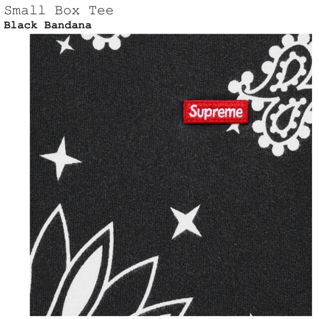 Supreme bandana small box tee