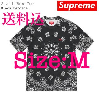 シュプリーム(Supreme)のSupreme bandana small box tee(Tシャツ/カットソー(半袖/袖なし))