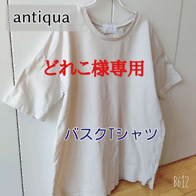 antiqua(アンティカ)のどれこ様専用【アンティカ 美品】人気 バスクビッグT ユニセックス レディースのトップス(Tシャツ(半袖/袖なし))の商品写真