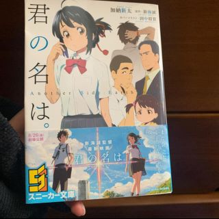 君の名は(文学/小説)