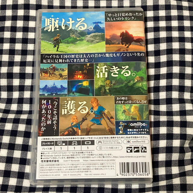 ゼルダの伝説 ブレスオブザワイルド Switch